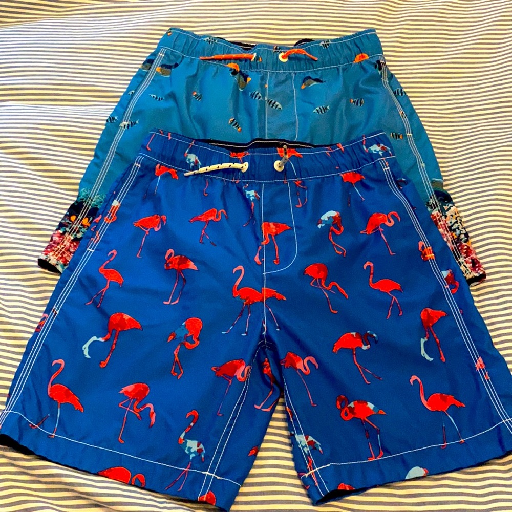 GAP kids Boys bathing suits (lot of 2)